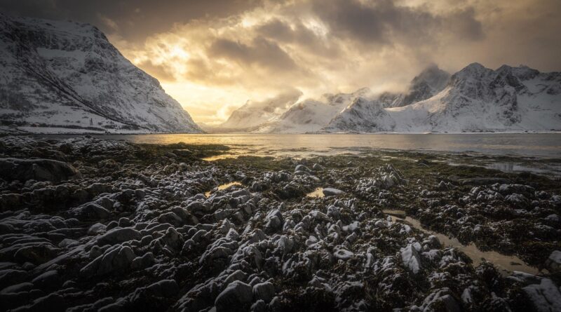 Image by Elisabetta Miele from Pixabay