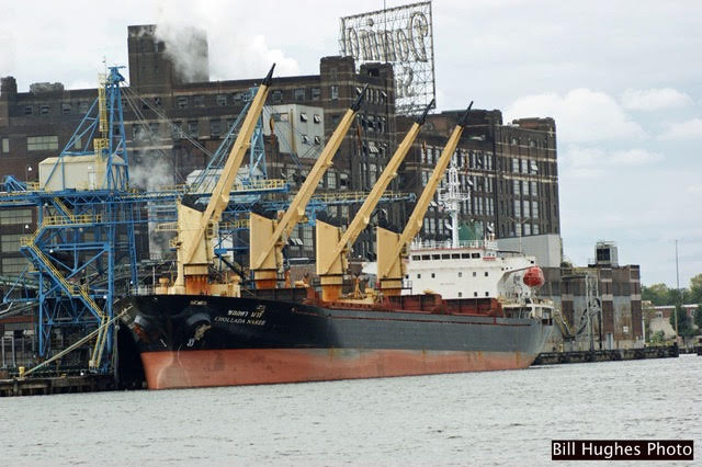 Cargo Ship Docked at Domino Sugar