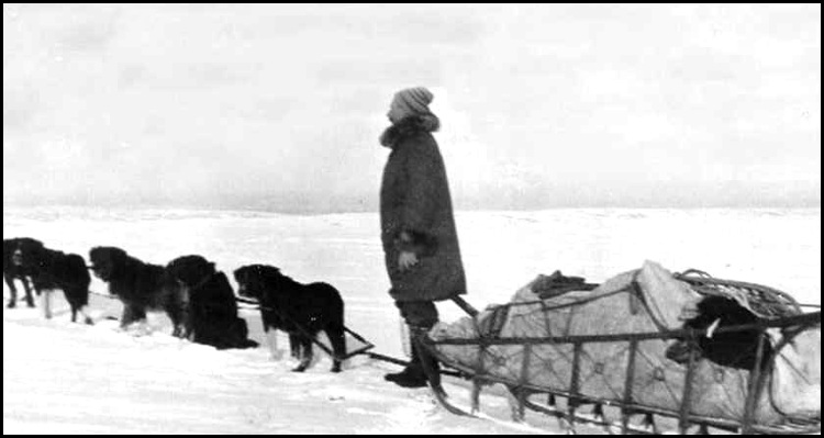 Joe Quigley with his dog sled from the book: Joe Quigley, Alaska Pioneer ~ Beyond the Gold Rush.
