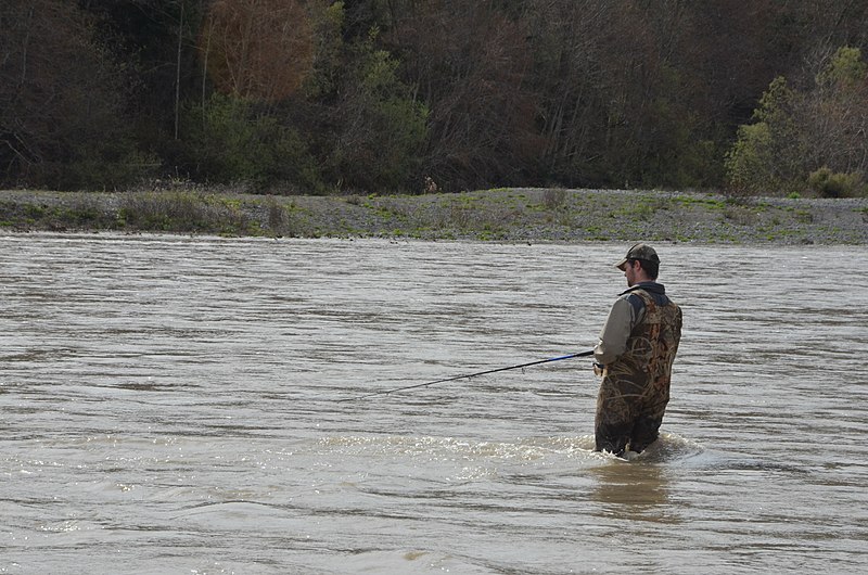 Fishing: Angler on Mad River (Wikipedia Commons)