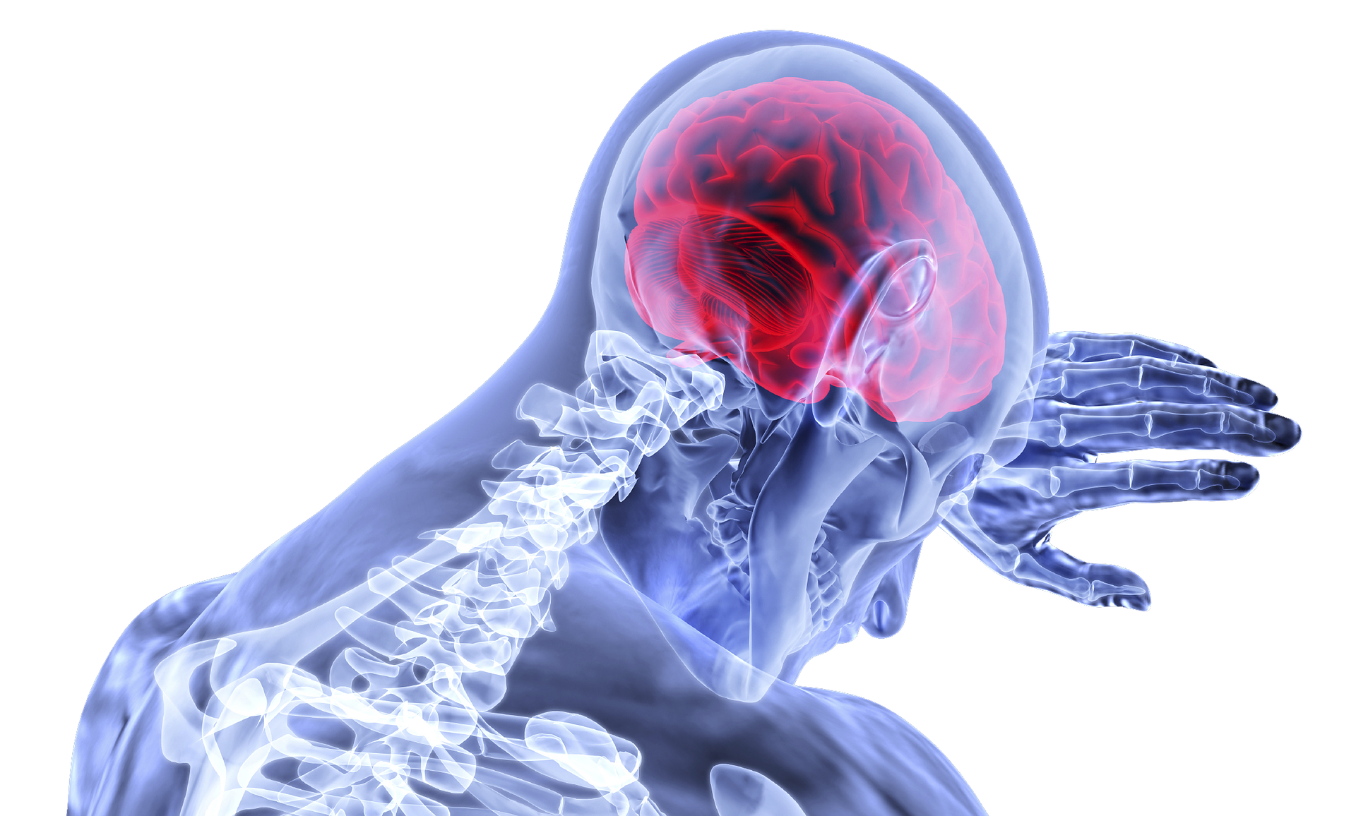 Alzheimer's brain: Image by VSRao from Pixabay