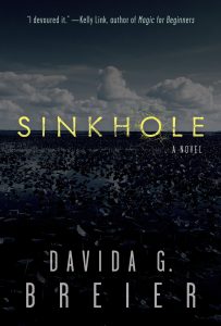 Sinkhole book cover