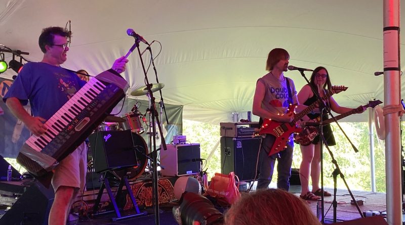 Shakemore Festival: Weird Paul Rock Band perform at Shakemore (credit Adrianna Salkin)