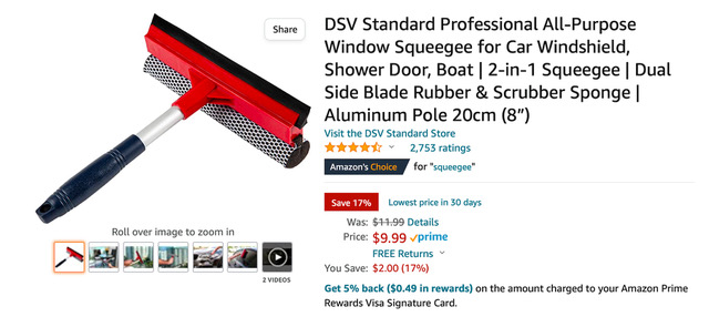 DSV Standard Professional All-Purpose Window Squeegee for Car