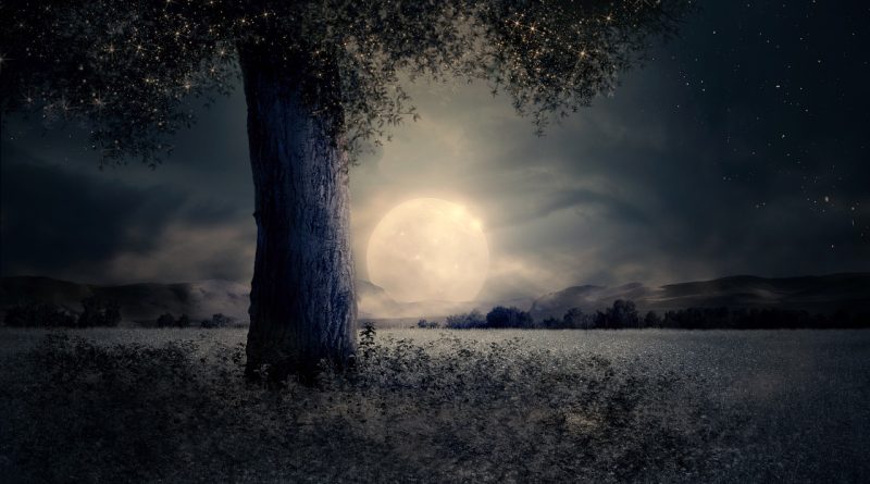 full moon : Image by Larisa Koshkina from Pixabay