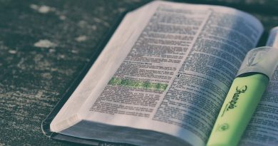 Bible, Bible study: Image by Pexels from Pixabay