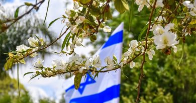 Jerusalem Israel Image by Ri Butov from Pixabay