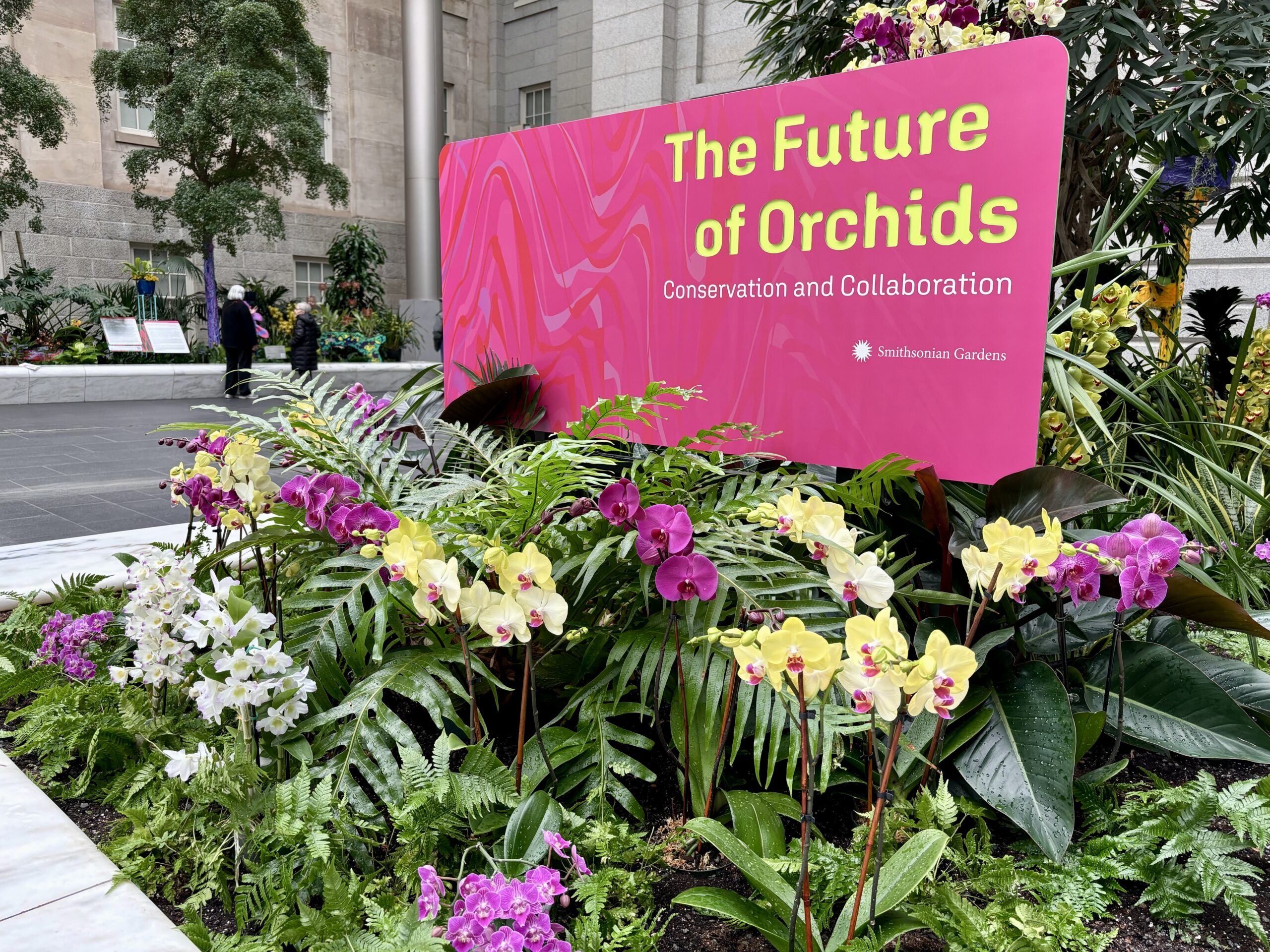 new-smithsonian-exhibit-features-rare-and-unusual-orchids-baltimore