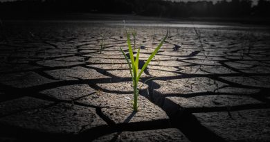 global warming climate change Image by khw80 from Pixabay