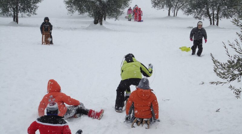 children playing in snow, kids with disabilities: Image by paolafrangella from Pixabay