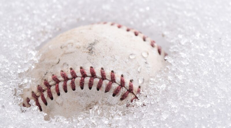 spring training, baseball, winter: Image by Kate Hansen from Pixabay