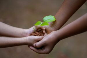 roles, giving, Christian love, Christian giving: Image by Shameer Pk from Pixabay