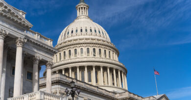 How likely is another government shutdown at the end of January?