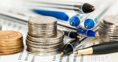 coins, tax, taxes: Image by Steve Buissinne from Pixabay