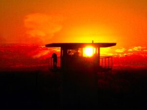 prison guard: Image by PublicDomainPictures from Pixabay