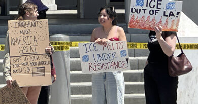 When Did Democracy Become Subversive?