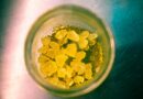 No-Brainer Activities for When You’re Fully Dabbed Out