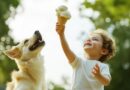 ice cream: Image by Dreamdecko from Pixabay
