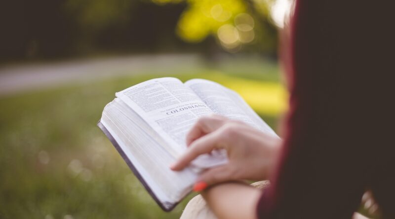 book, Bible, learning: Image by Pexels from Pixabay