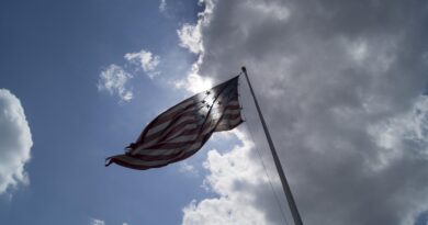 Charlie Kirk, U.S. flag: Image by Bruce Emmerling from Pixabay