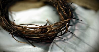 King of Kings King of Kings, crown of thorns, Jesus: Image by congerdesign from Pixabay