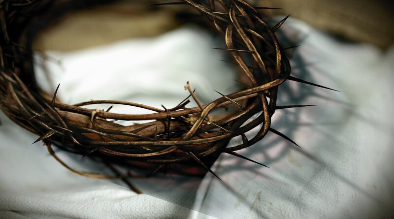 King of Kings, crown of thorns, Jesus: Image by congerdesign from Pixabay