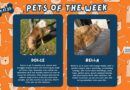 Baltimore Humane Society-Pets of the week