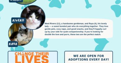 Baltimore Humane Society-Pets of the week Baltimore Humane Society-Pets of the week