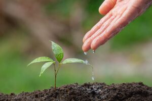 missions, planting seeds, gardening: Image by Prasenjit Haldar from Pixabay