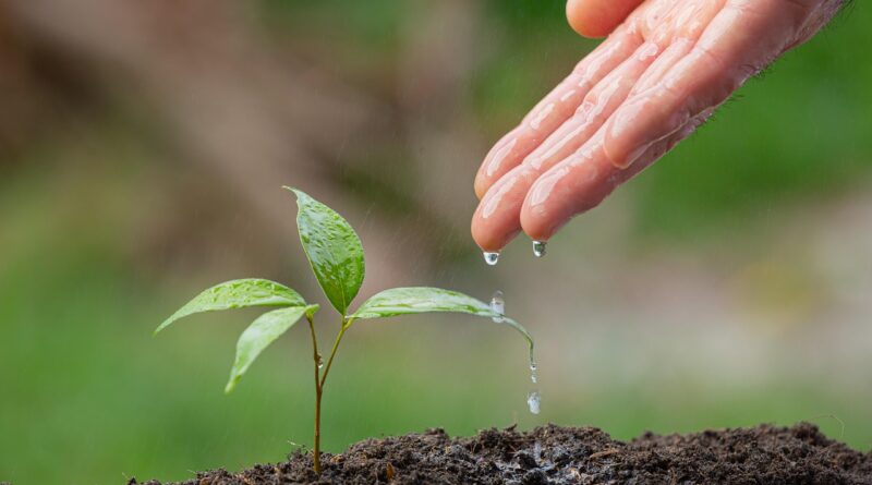 missions, planting seeds, gardening: Image by Prasenjit Haldar from Pixabay
