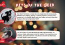 Baltimore Humane Society-Pets of the week