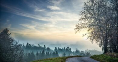 What Is The End? The end: Image by Franz Bachinger from Pixabay