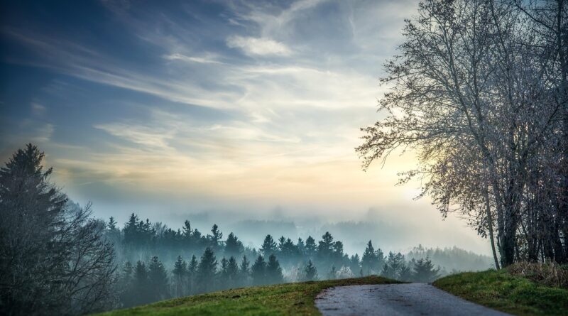 The end: Image by Franz Bachinger from Pixabay