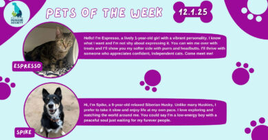 Baltimore Humane Society- Pets of the week