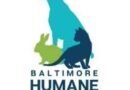 Baltimore Humane Society: Pets of the Week: New Year, New Loving Homes for Gaia & Big Boy