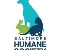 Baltimore Humane Society: Pets of the Week: New Year, New Loving Homes for Gaia & Big Boy Baltimore Humane Society: Pets of the Week: New Year, New Loving Homes for Gaia & Big Boy