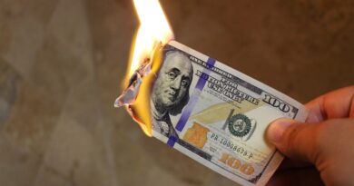 money burning, taxes, income tax: Image by Chris from Pixabay
