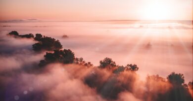 dawn, 2026, Bible prophecy, New Year: Image by Ruslan Sikunov from Pixabay