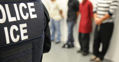 News Credibility, Political Consequences and the Case of ICE