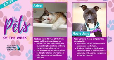 Baltimore Humane Society-Pets of the week: Aries & Rosie Jane