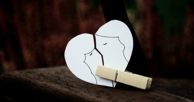 reconciled, healing, broken heart: Image by congerdesign from Pixabay