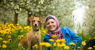 Image by Susanne from Pixabay