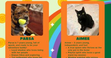 Baltimore Humane Society-Pets of the week
