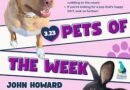 Baltimore Humane Society-Pets of the week: Long-term residents