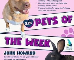 Baltimore Humane Society-Pets of the week: Long-term residents