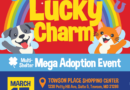 Former Towson Walmart Transformed into Mega Pet Adoption Event “Find Your Lucky Charm” Brings Multiple Shelters Together March 15