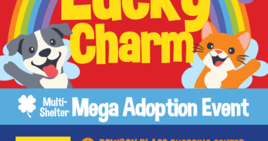 Former Towson Walmart Transformed into Mega Pet Adoption Event “Find Your Lucky Charm” Brings Multiple Shelters Together March 15