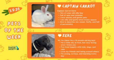 Baltimore Humane Society-Pets of the Week