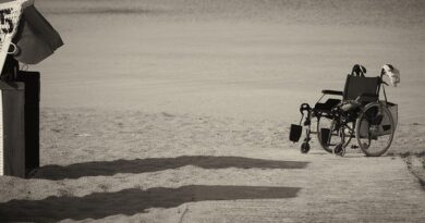 wheelchair, disabled, swagger : Image by andreas160578 from Pixabay