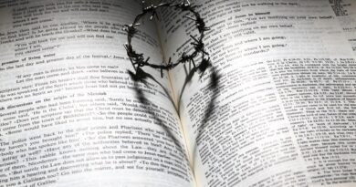 Who is Jesus? : Image by James Chan from Pixabay